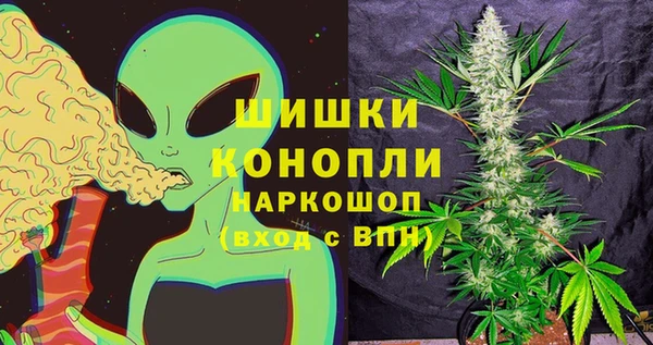 spice Алзамай