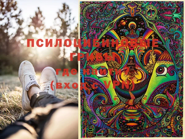 spice Алзамай