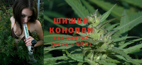 spice Алзамай